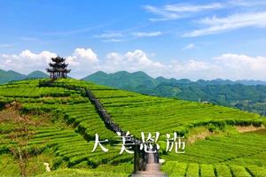 【五一 ·巴渝自驾游】4月29—5月1芙蓉镇-酉阳桃花源-蒲花暗河-濯水古镇-芭拉胡-狮子关-伍家台茶园5日品质休闲