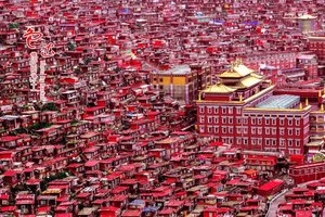 【免门票】10月12-21号 甘南全景 麦积山 拉卜楞寺 尕海湖 郎木寺 莲宝叶则 扎尕那 官鹅沟 VIP大巴10日游