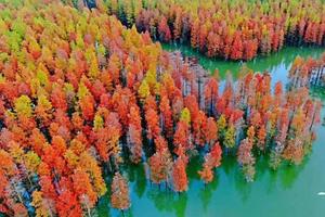 【自驾游】11月27日-28日 | 狩猎太子山 • 打卡红杉林 • 泡玉珑温泉 • 游美人谷 • 探王莽洞