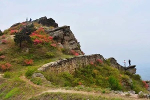 【清明-休闲徒步】4月5日：百年古寨龙王尖 徒步登山 赏杜鹃一日游