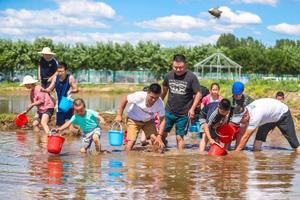 【小小农夫体验营】鲁湖 l 回归田园、插秧摸鱼，一起感受劳动的快乐