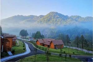 【国庆 神农架亲子3日游】国庆来这里种个梦吧！一票通完大九湖、神农顶、官门山、天燕、神农天池景区，打卡禾木同款小木屋！