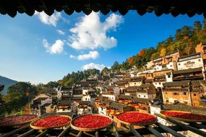 【国庆-徽州4日】10.1/10.4两期：天上人间-木梨硔 | 宏村 | 守拙园 | 篁岭晒秋 | 休闲摄影