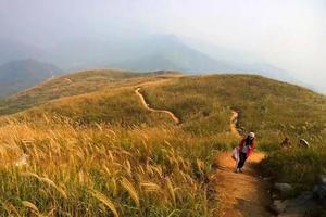 【周日-登山】11月3日： 穿越小武功山—大冶父子山 | 赏高山草甸