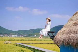 【袁夫稻田】邂逅美好秋日，打卡袁夫稻田+五祖寺一日游特价98元～