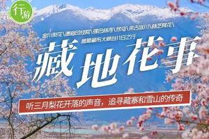 【藏地花事】金川梨花\德格印经院\强巴林寺\然乌湖\来古冰川\林芝桃花\雅鲁藏布大峡谷11日之行