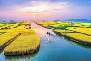 【烟花三月下扬州】3月25-28日：兴化千垛油菜花。李中水上森林，瘦西湖纯玩之旅