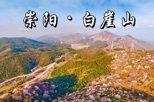 【绿野仙踪】3月31日：崇阳白崖山赏樱徒步