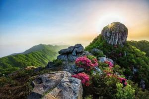 【周六登山】4月22日：春行天马寨，“醉”看杜鹃花漫山红遍单日徒步活动