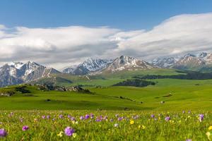 【新疆】喀拉峻——环线7日百公里徒步之旅