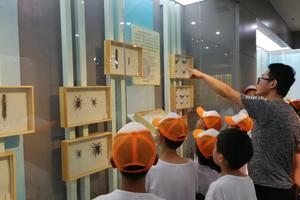 【华农科考营】参观华中农业大学博物馆，徒步狮子山原始森林，华农老师带你一起探寻植物的奥秘！