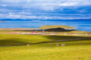 【甘南·武汉大巴出发】7月28-8月6号： 甘南全景 麦积山 拉卜楞寺 尕海湖 郎木寺 莲宝叶则 扎尕那 官鹅沟