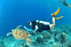 【仙本那】6天5晚｜浮潜快艇，海上木屋，度假休闲圣地（2人即可出发）