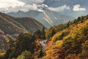 【神农架特价398】10月20日晚-22日（2.5天）：遇见神农架最美秋色，住天池网红火车酒店