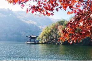 【赏秋·清凉寨】12月2号：木兰清凉寨＋民俗村赏漫山红叶/银杏一日游