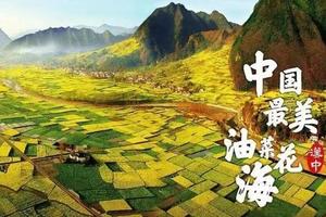 【中国最美油菜花海】3月21-24日 武汉出发 赏汉中百万亩油菜花海 休闲4日游