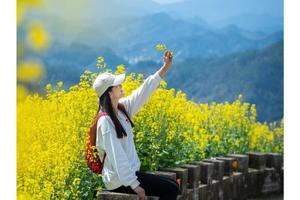 【梯田花海】3月22晚-24日：漫步新安江，观石潭油菜花，访屯溪老街品美食休闲3日游