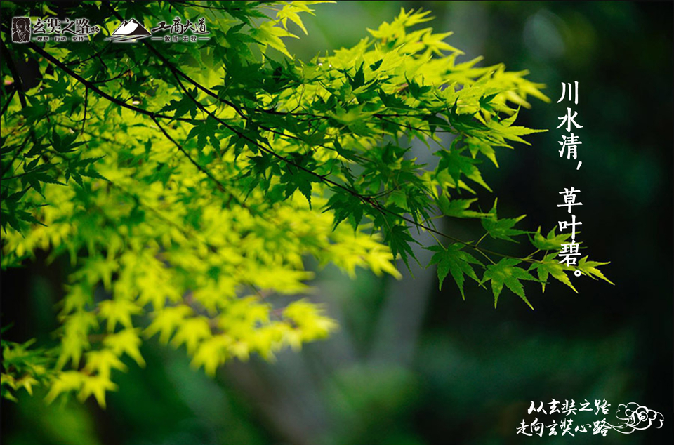 微信图片_201809152147411