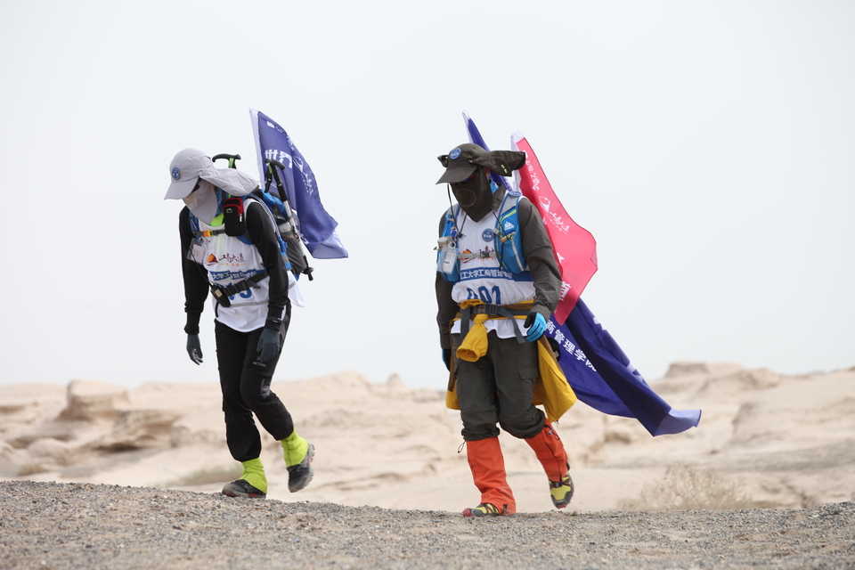 征1精选照片 (2)