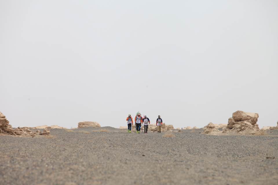 征1精选照片 (3)