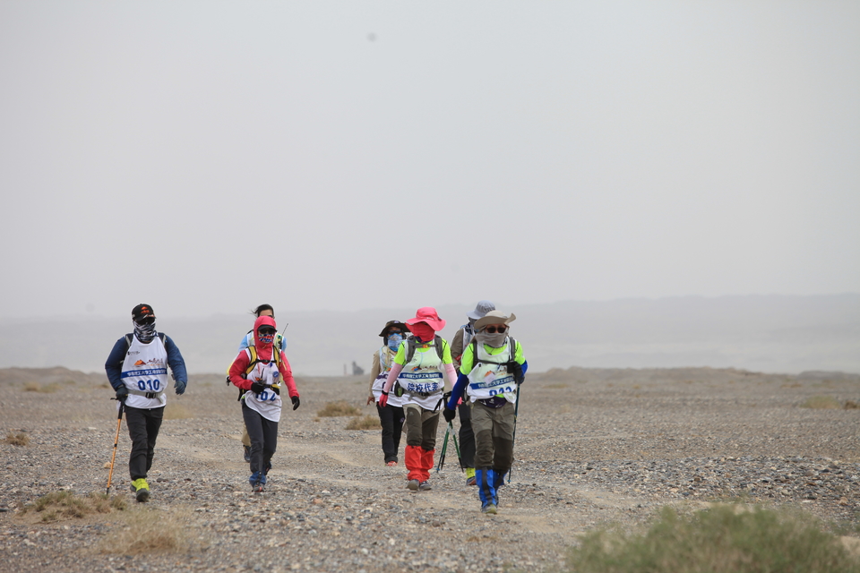 征1精选照片 (4)