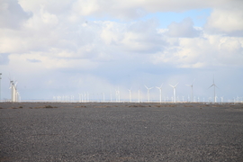 征2精选照片 (14)