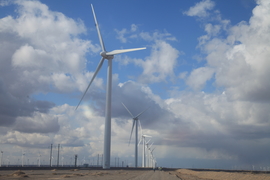 征2精选照片 (15)