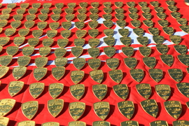 征2精选照片 (21)