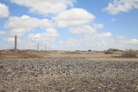 征2精选照片 (31)