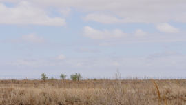 征2精选照片 (33)