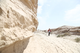 征3精选照片 (18)