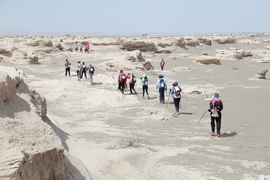 征3精选照片 (135)