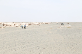 征3精选照片 (139)