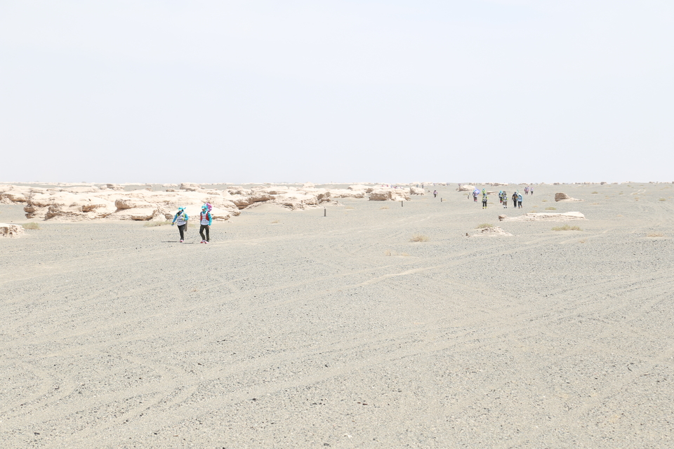 征3精选照片 (139)