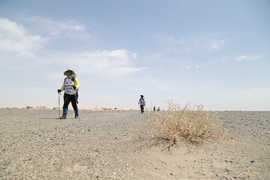 征3精选照片 (142)