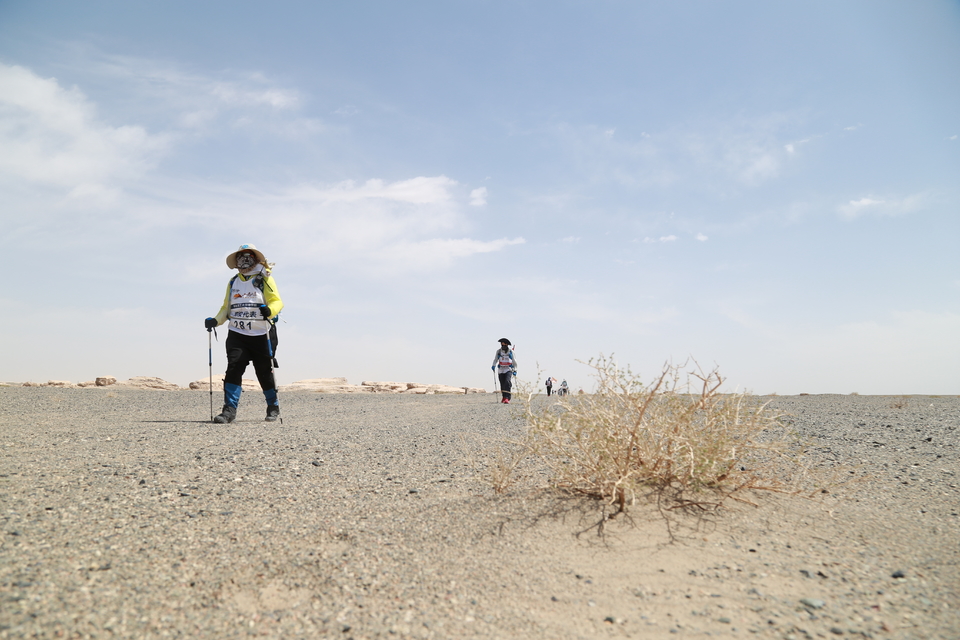 征3精选照片 (142)