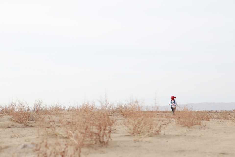 征3精选照片 (156)