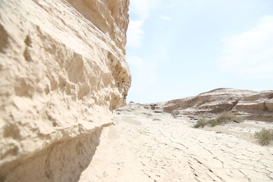 征3精选照片 (157)