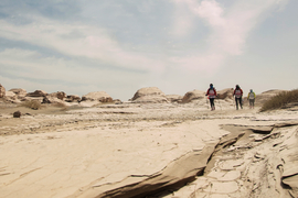 征3精选照片 (159)