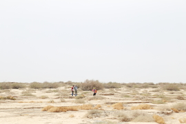 征3精选照片 (180)