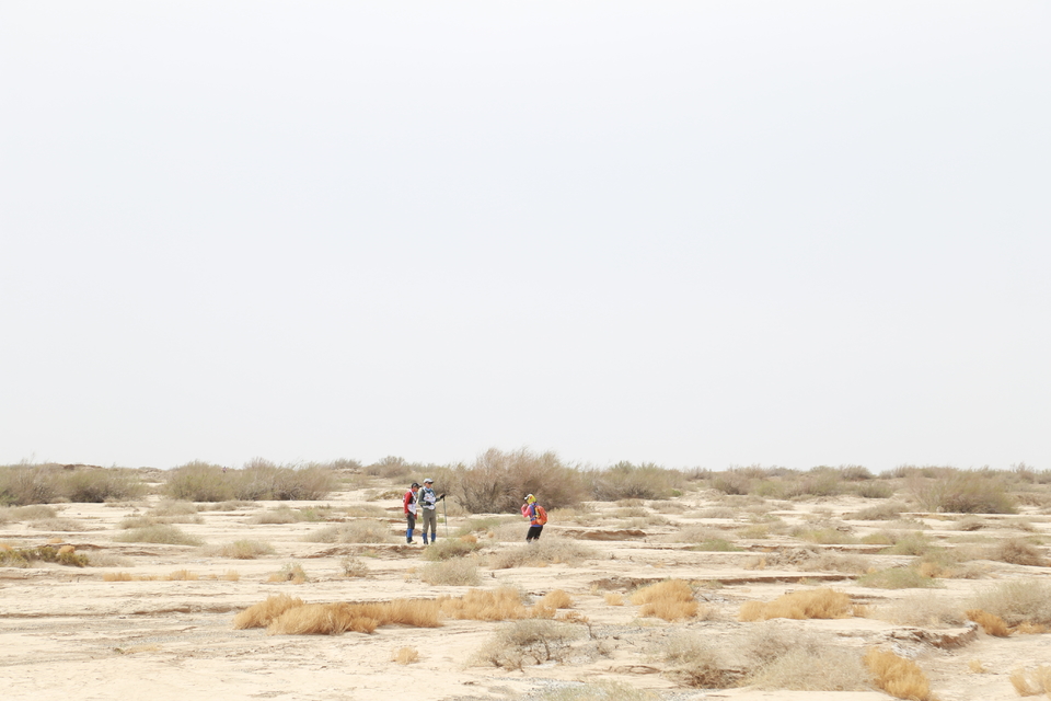 征3精选照片 (180)