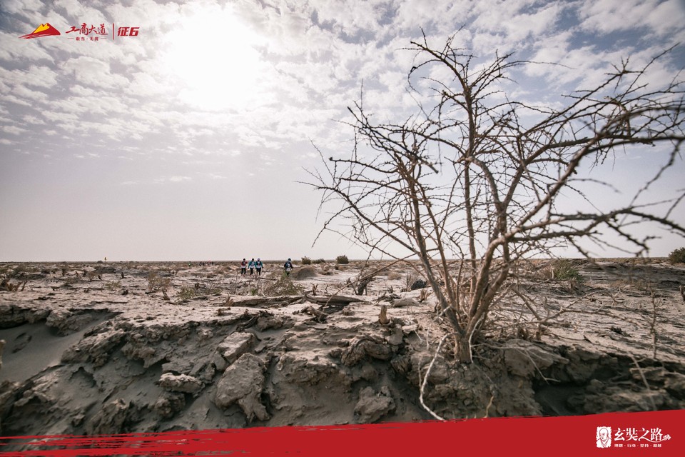 微信图片_20240411171233