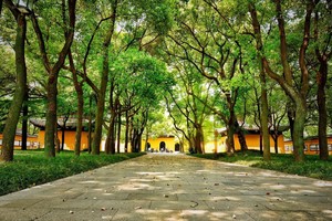 【宣传片】第二届玄奘之路戈友静修营