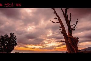 工商大道·征6 官方视频《雕刻生命》