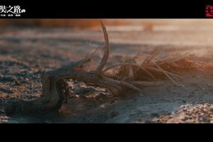 2020 BC连官方视频