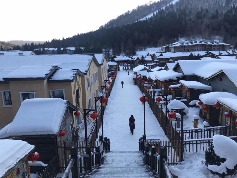 mmexport1543817315481