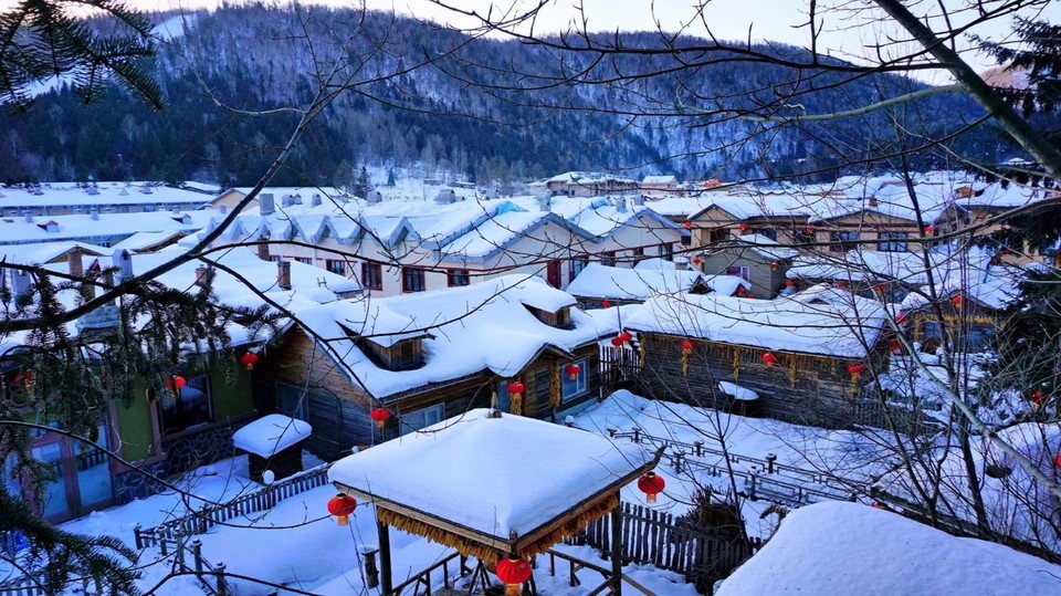 mmexport1543817324236