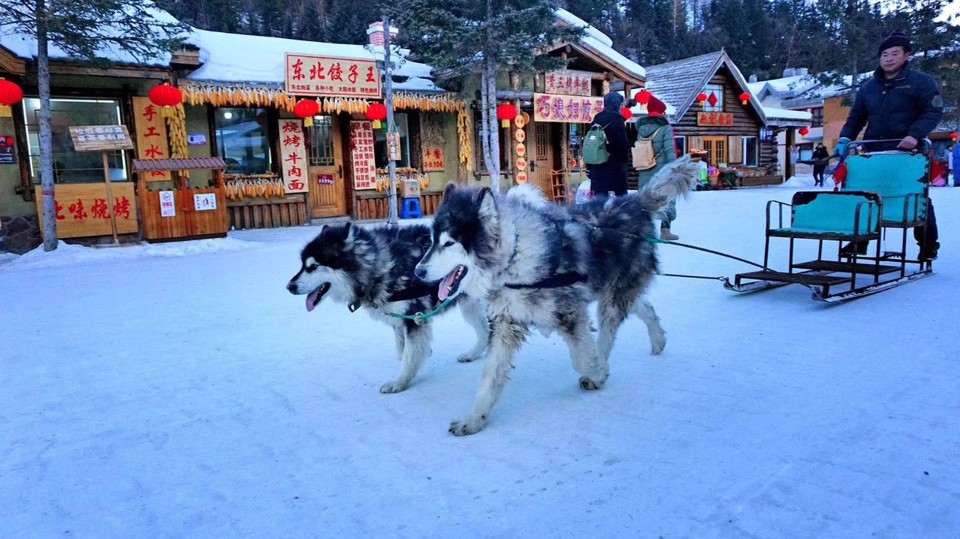 mmexport1543817333316