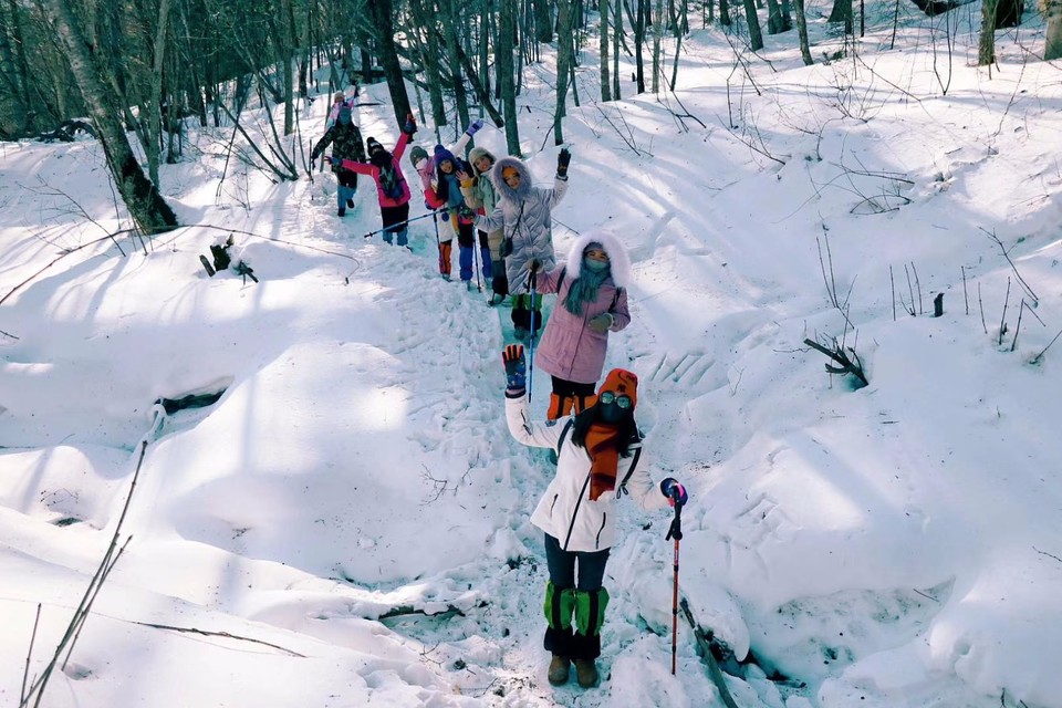 mmexport1543894276418