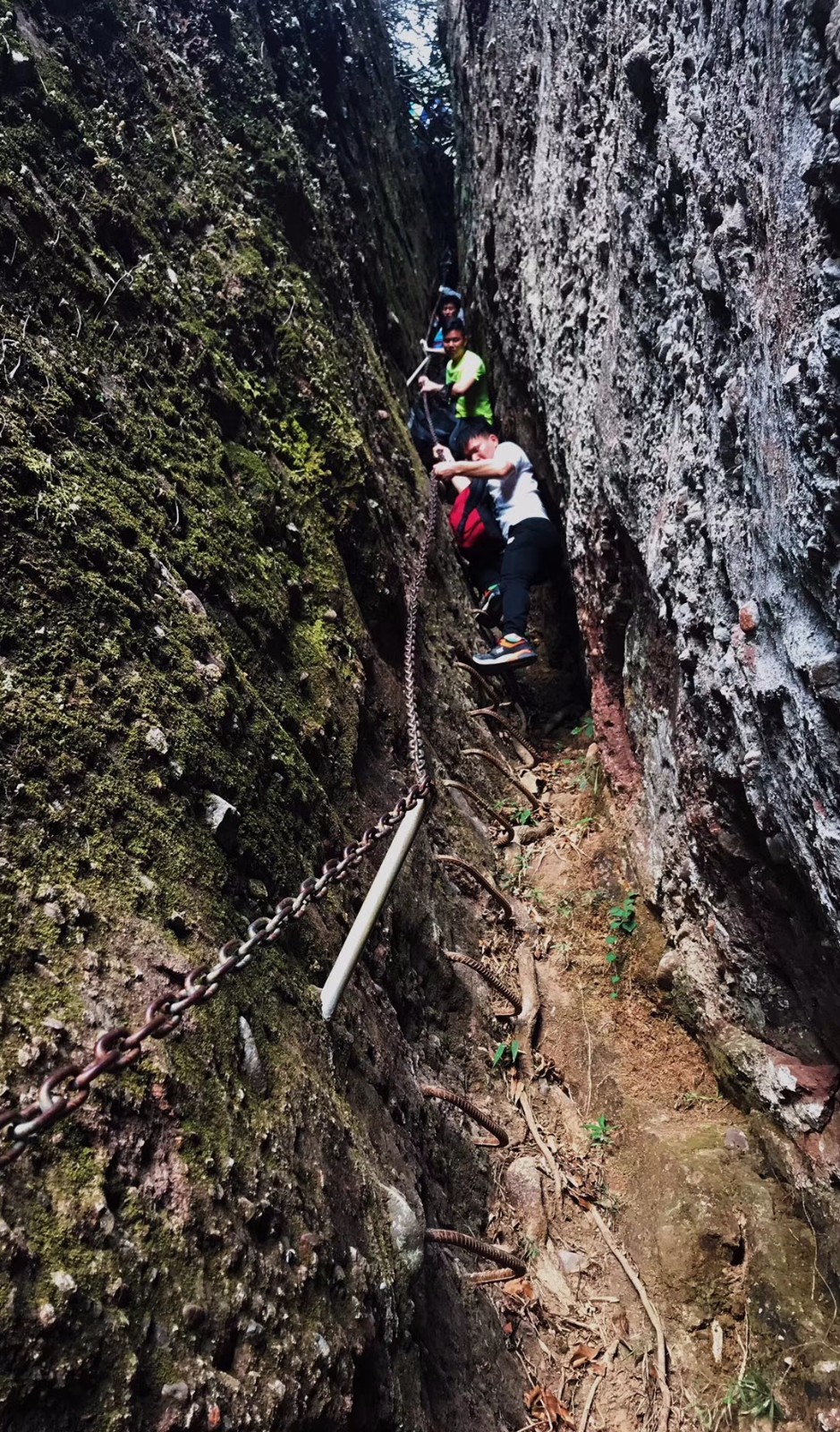 mmexport1512302786114